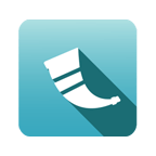 Flask 3.1.0