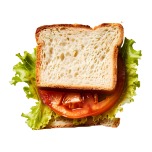 Grilled Veg Sandwich